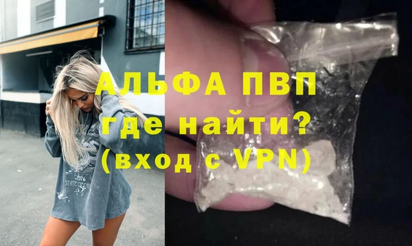 стафф Алексин