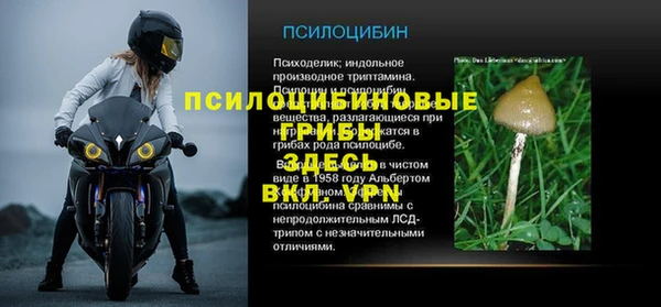стафф Алексин