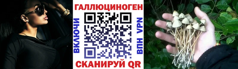 продажа наркотиков  Москва  Псилоцибиновые грибы MAGIC MUSHROOMS 